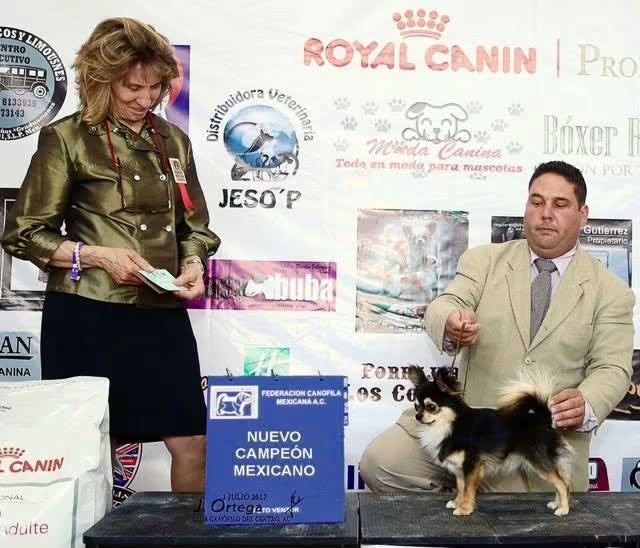 Exposición Canina 3