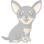 03 chihuahua