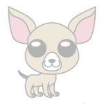 04 chihuahua