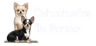 cropped logo 01 2.png