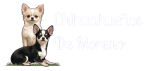 cropped logo 01 2.png